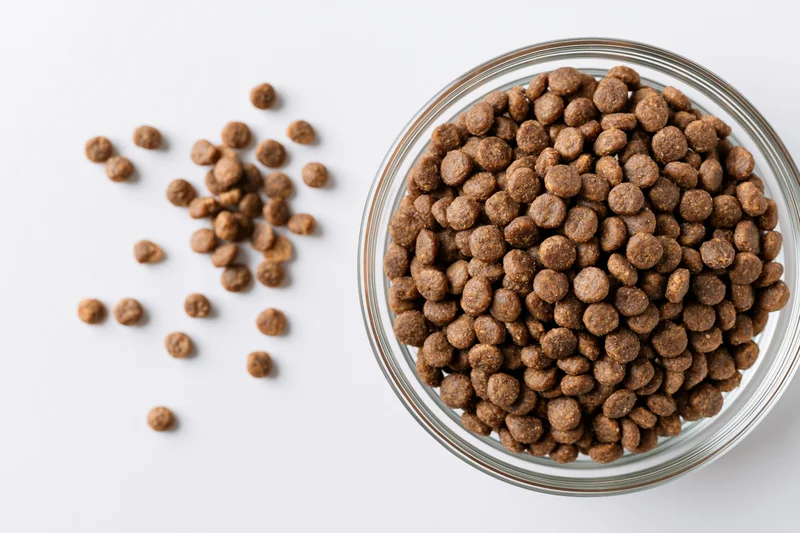 Dry pet food kibble in a clear glass bowl with scattered pieces on white background