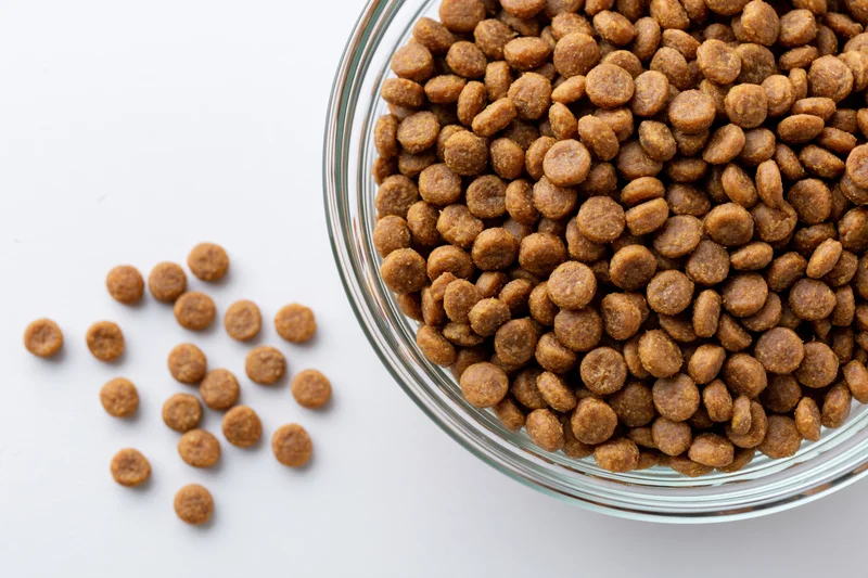 Dry pet food kibble in a clear glass bowl on a white surface with scattered pieces beside it