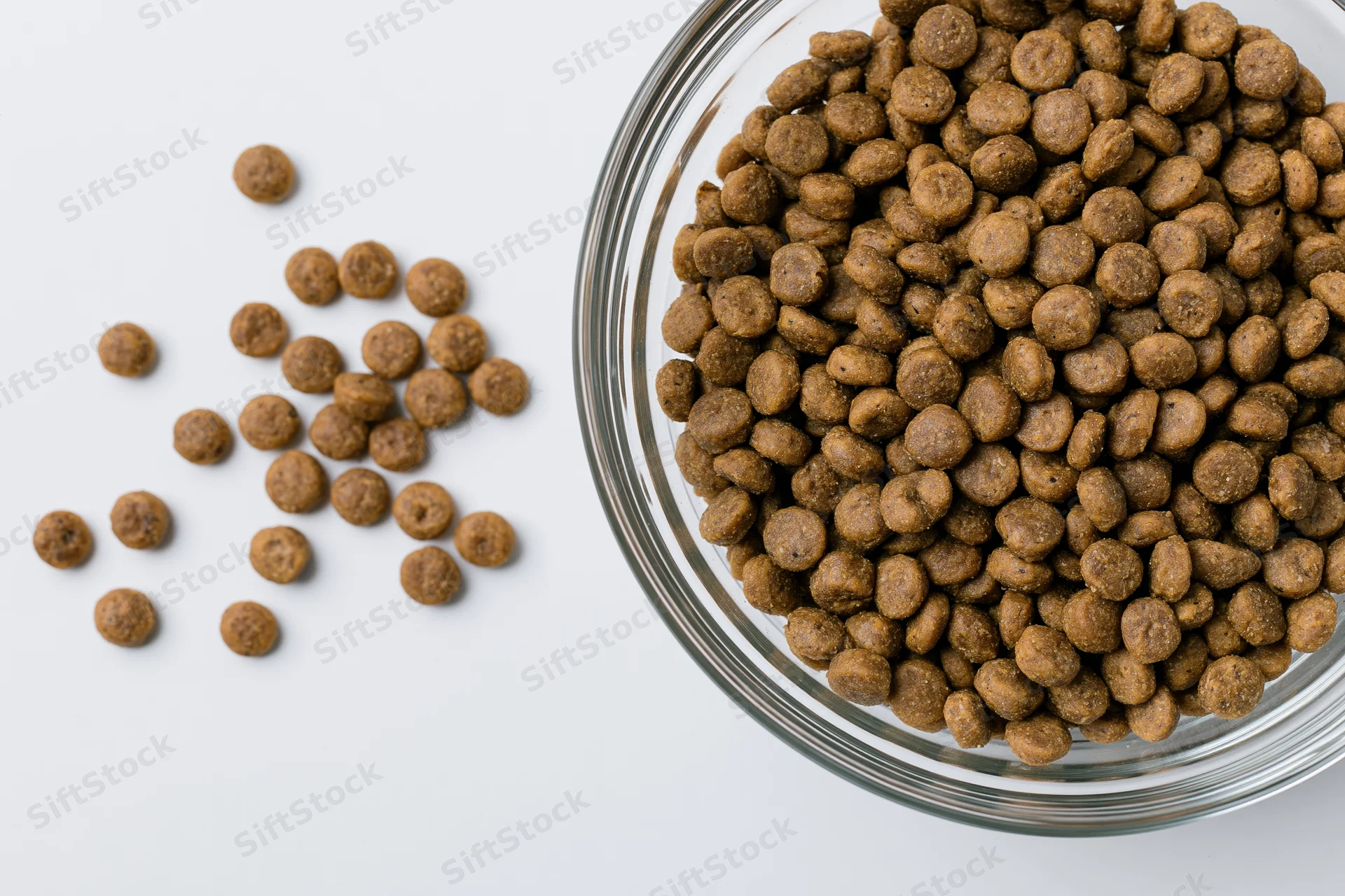 Dry pet food kibble in a clear glass bowl on white surface with scattered pieces beside it