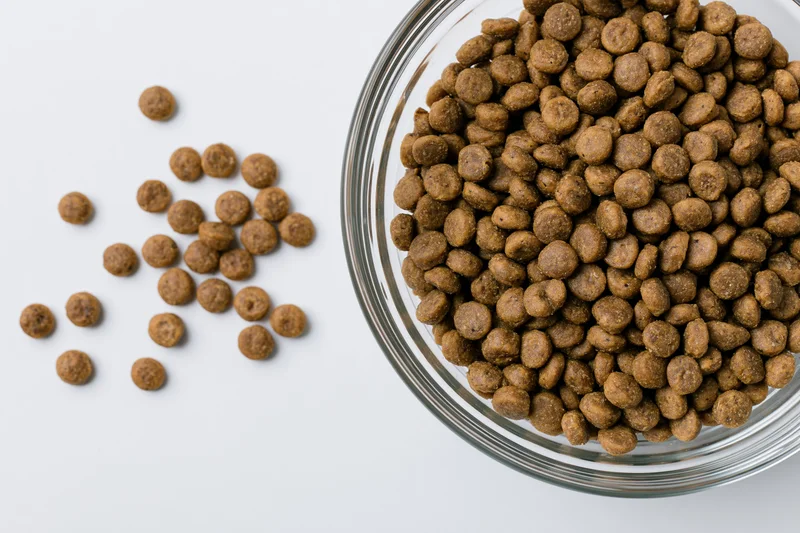 Dry pet food kibble in a clear glass bowl on white surface with scattered pieces beside it
