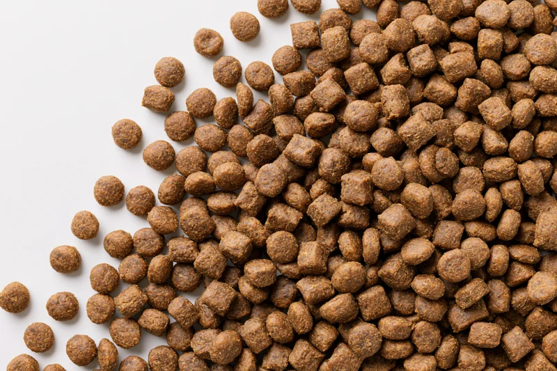 Dry pet food kibble scattered across white surface filling frame with copyspace on left