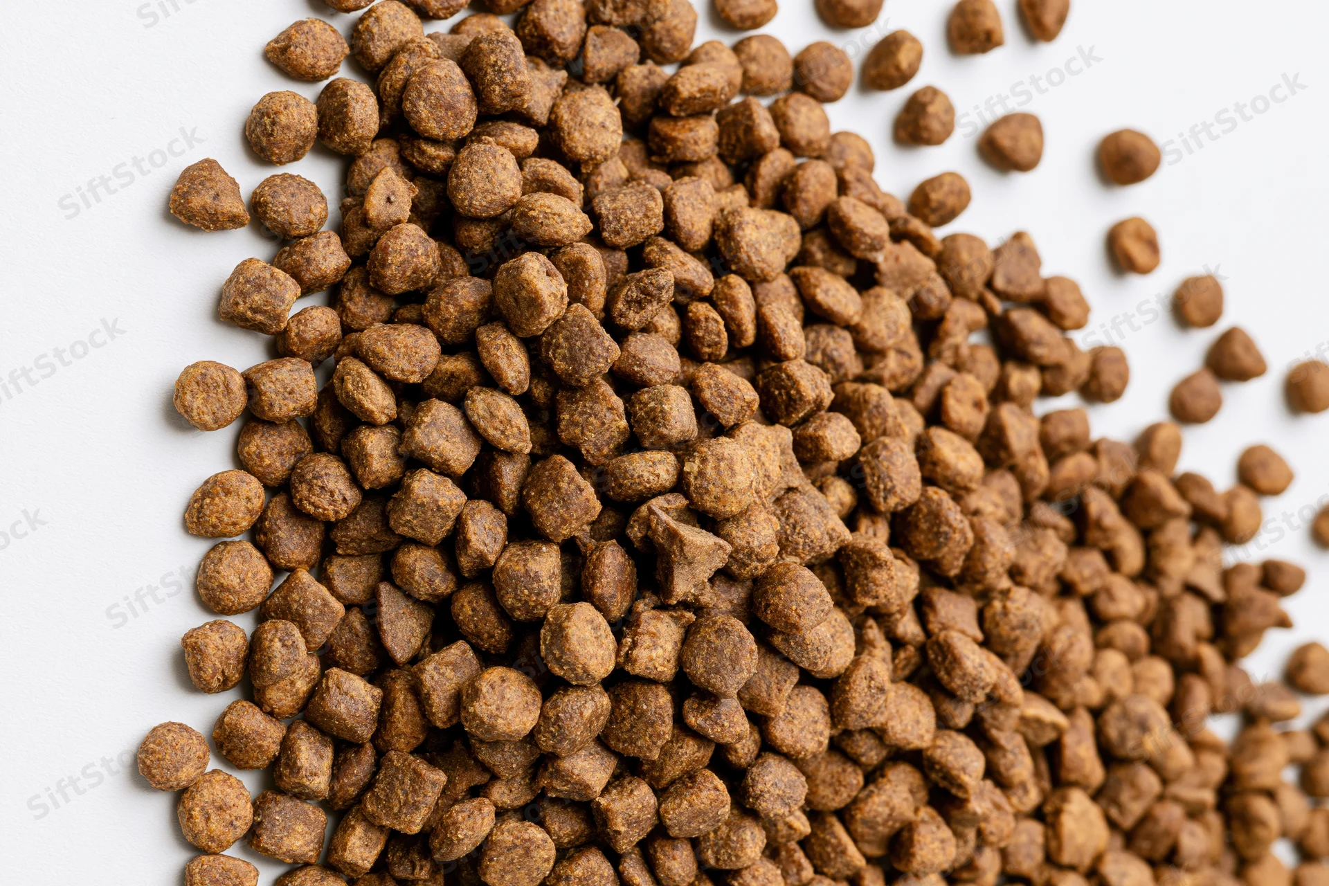 Dry pet food kibble scattered across a white surface filling the frame