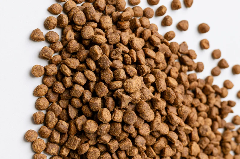 Dry pet food kibble scattered across a white surface filling the frame