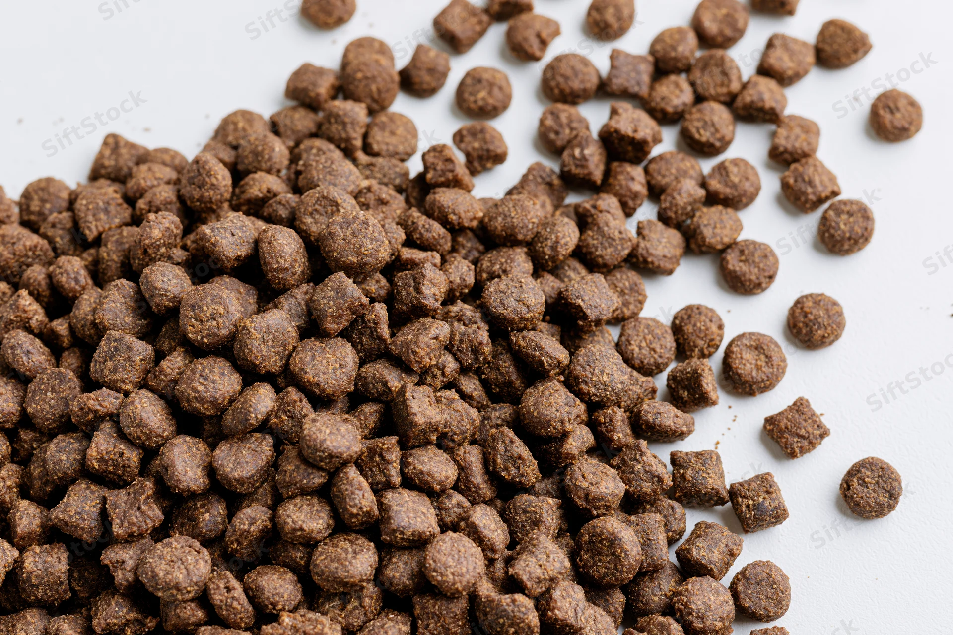 Dry pet food kibble scattered across a white surface filling the frame