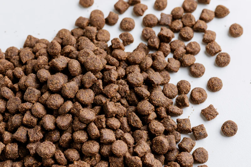 Dry pet food kibble scattered across a white surface filling the frame