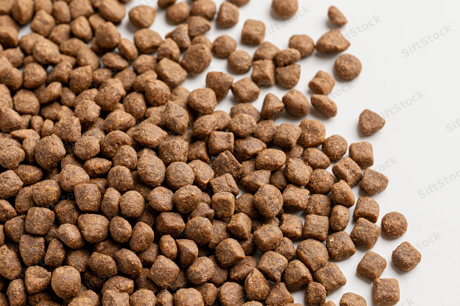 Dry pet food kibble scattered across a white surface filling the frame