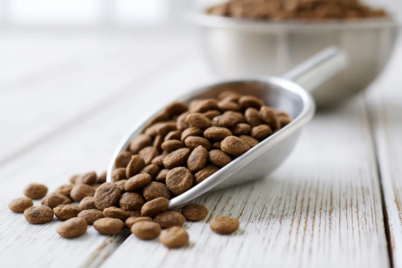 Dry pet food kibble spilling from a metal scoop onto a white wooden table