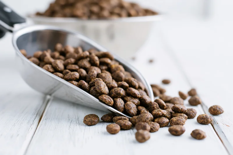 Dry pet food kibble spilling from a metal scoop onto a white wooden surface