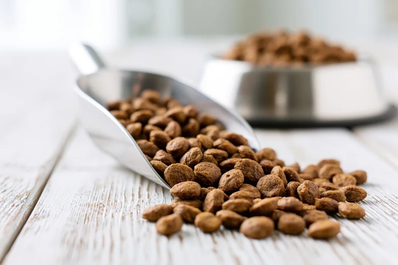 Dry pet food kibble spilling from a metal scoop onto a wooden surface near a pet bowl