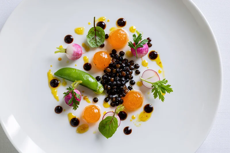 Gourmet dish with caviar, radishes, citrus and herbs artfully arranged on a white plate