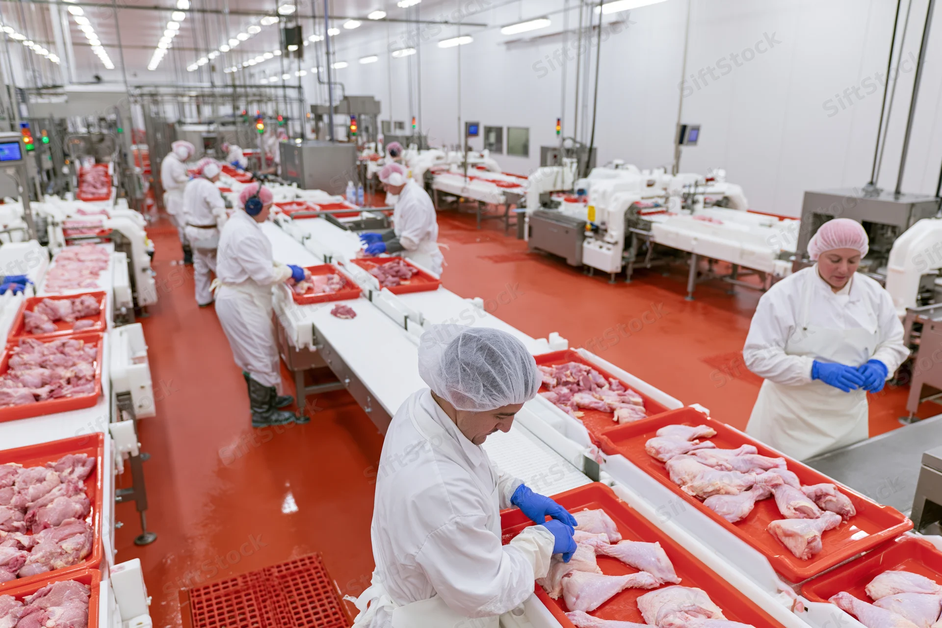Women in white uniforms processing poultry on conveyor lines in a food processing factory