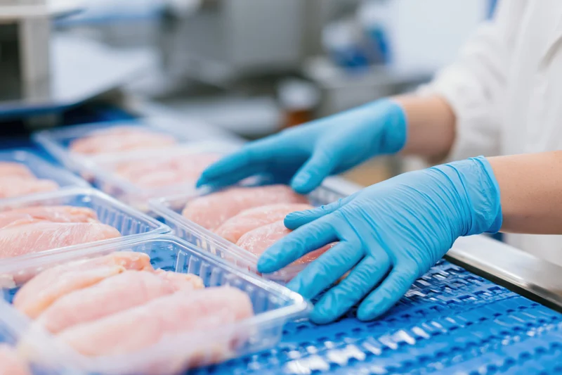 Worker in blue gloves arranging chicken pieces in plastic trays on a conveyor in a food processing facility