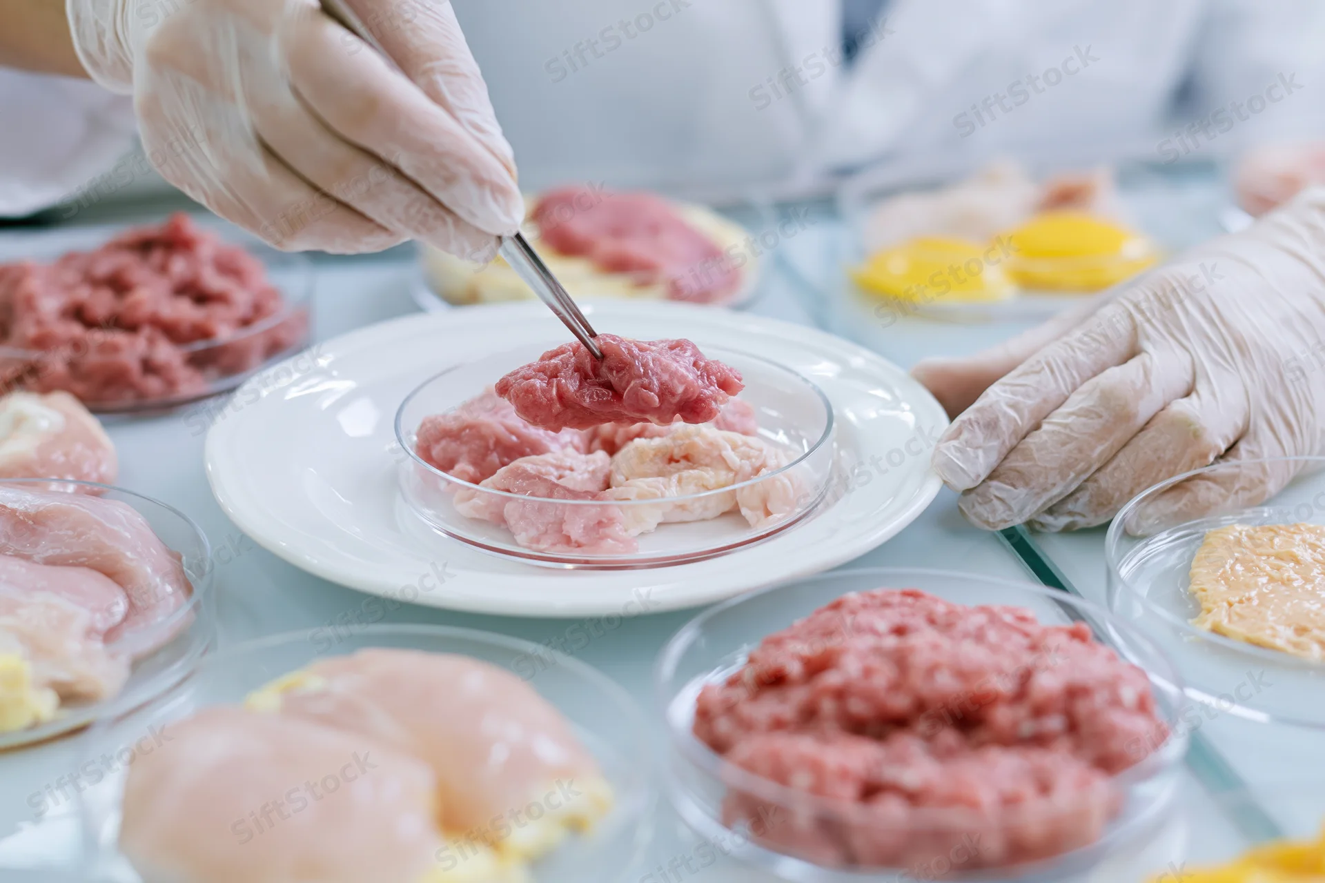 Food safety technician examining raw meat samples in a laboratory setting