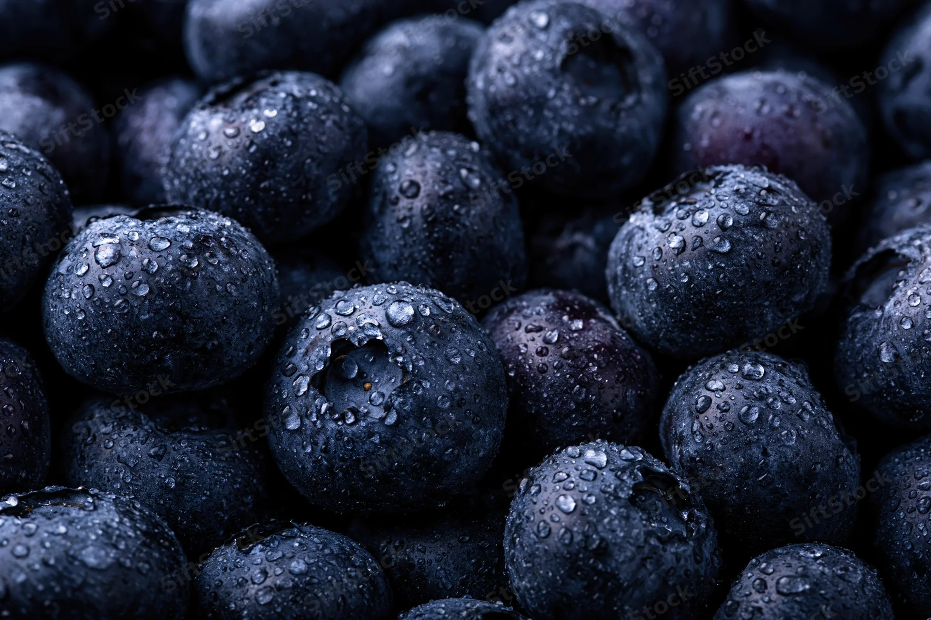 Closeup of fresh blueberries covered in water droplets filling the frame