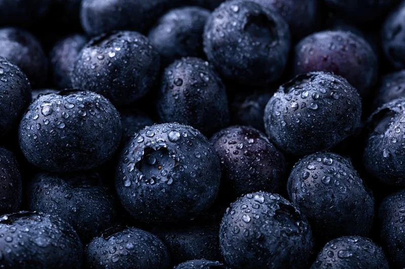 Closeup of fresh blueberries covered in water droplets filling the frame