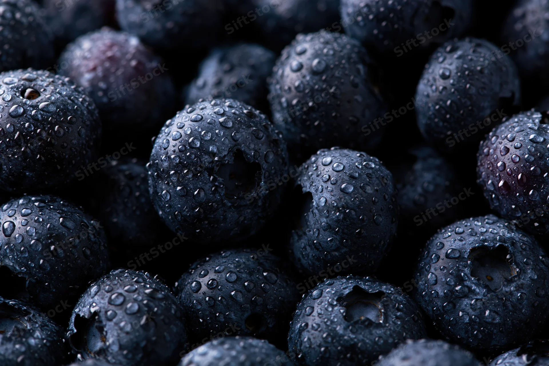 Closeup of fresh blueberries covered in water droplets filling the frame