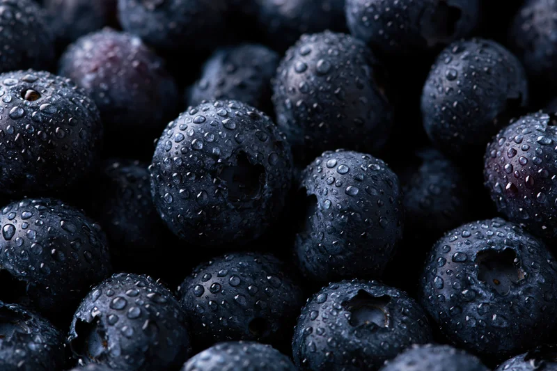 Closeup of fresh blueberries covered in water droplets filling the frame