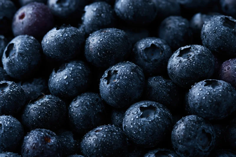 Closeup of fresh blueberries covered in water droplets filling the frame