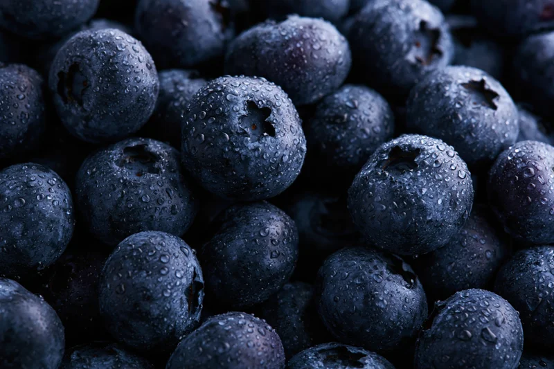 Closeup of fresh blueberries covered in water droplets filling the frame