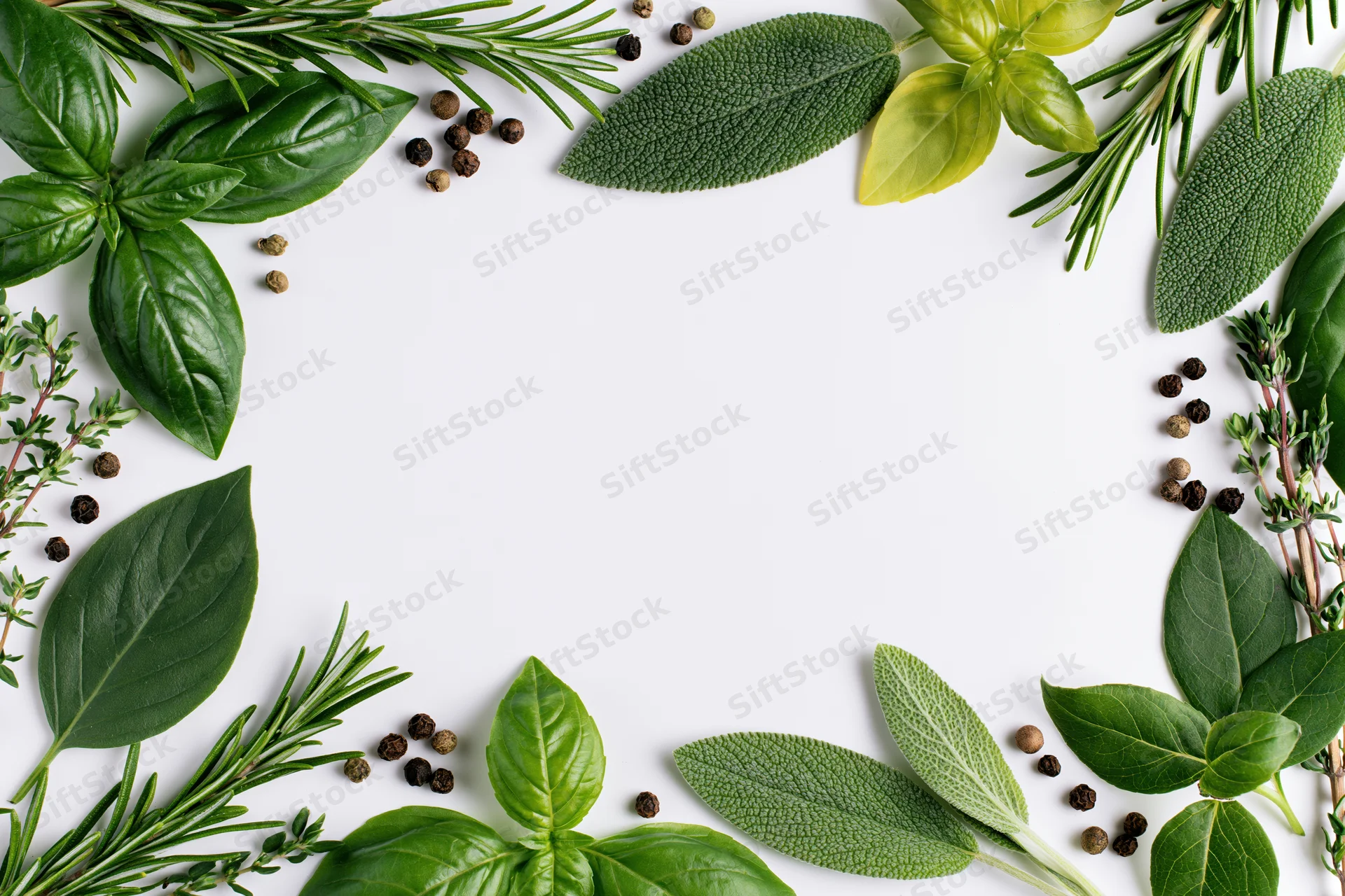 Fresh culinary herbs arranged in a flat lay border frame on white background with copyspace