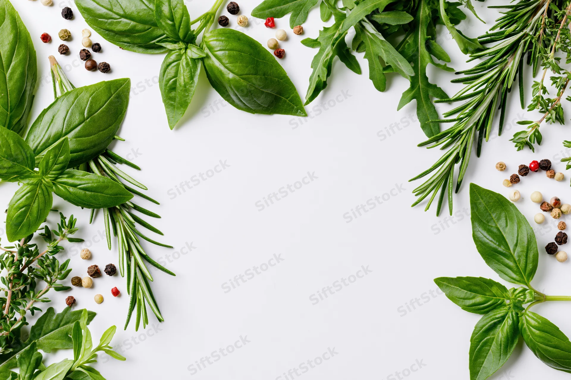 Fresh herbs and spices arranged in a border frame on white background