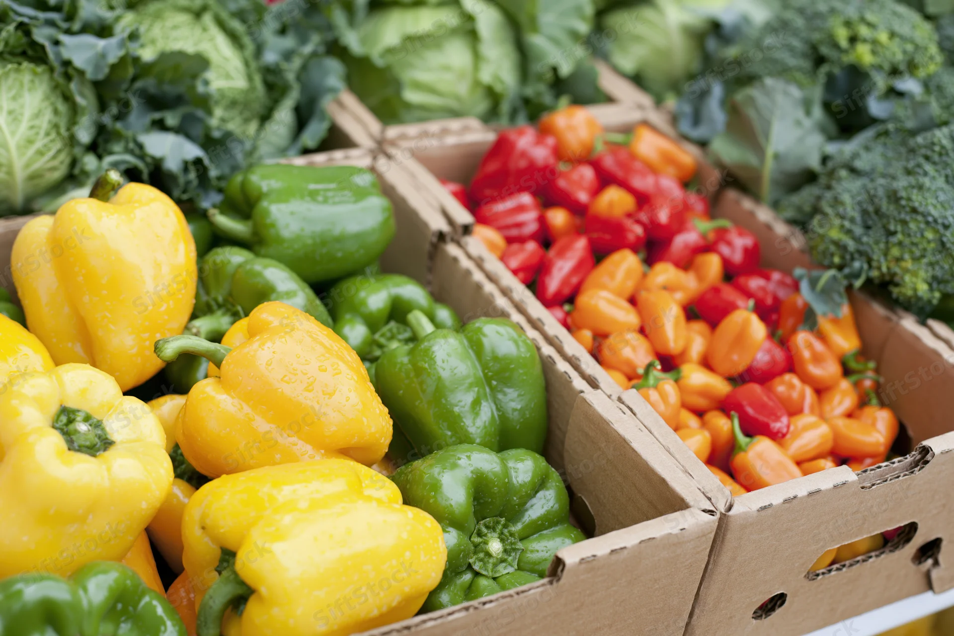 Fresh bell peppers and leafy vegetables in open cardboard boxes at a market display