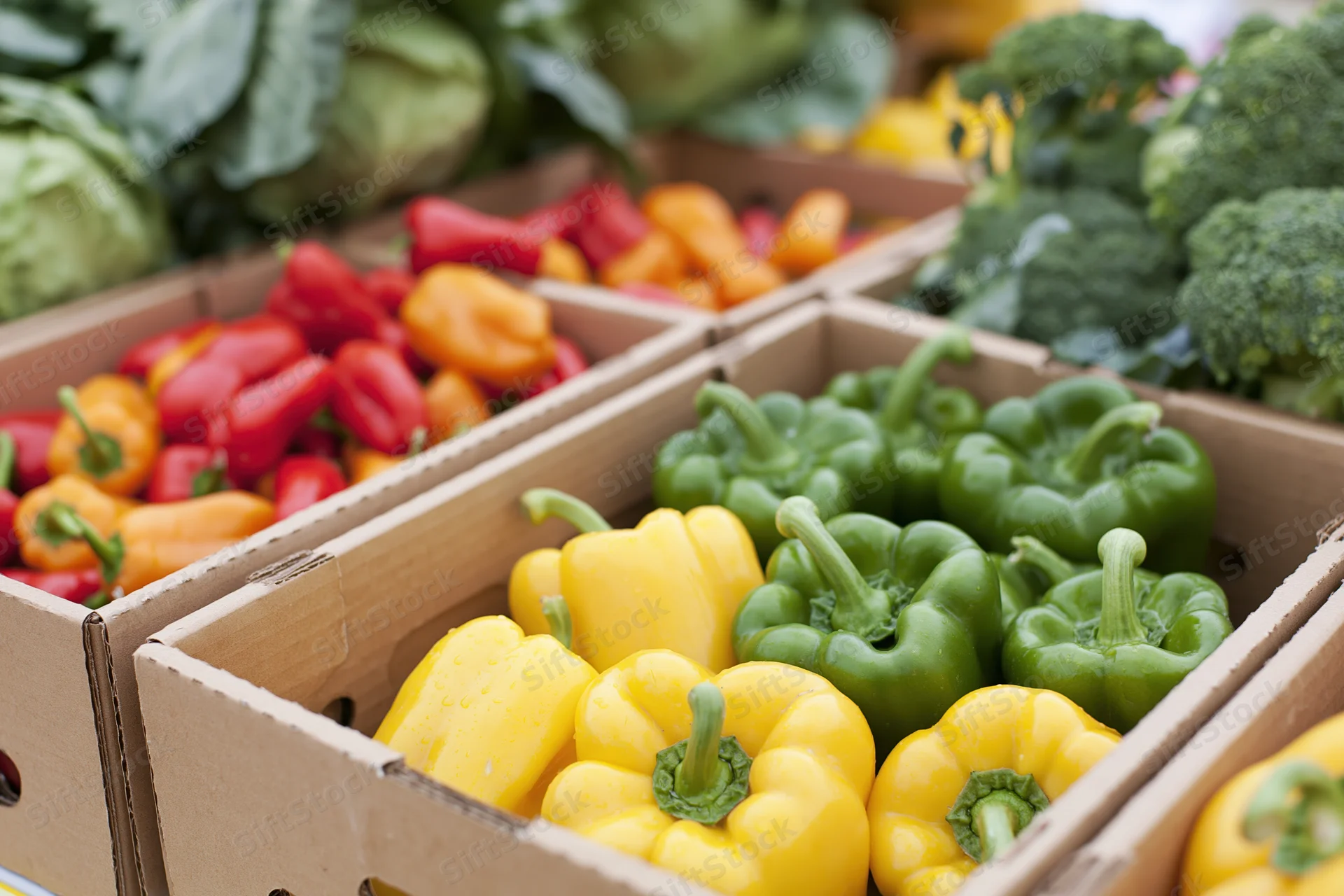 Colorful bell peppers in open cardboard boxes at an outdoor market