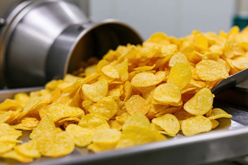 Freshly made potato chips tumbling from a stainless steel machine onto a metal tray in a food processing facility