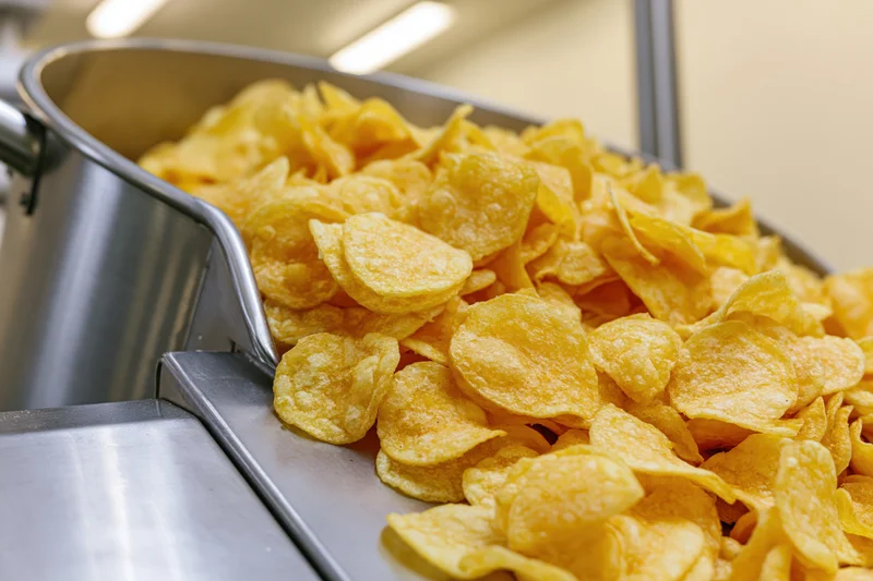 Freshly made potato chips tumbling from a stainless steel conveyor in a factory