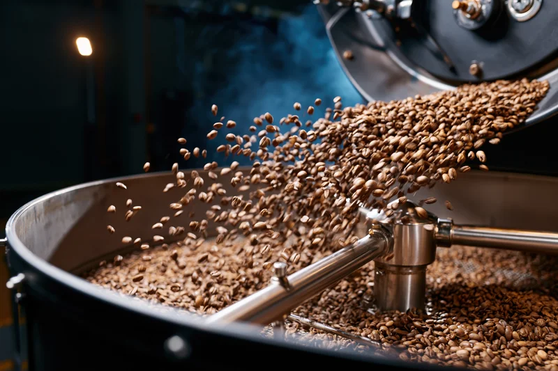 Roasted coffee beans cascading from industrial roasting machine into cooling drum