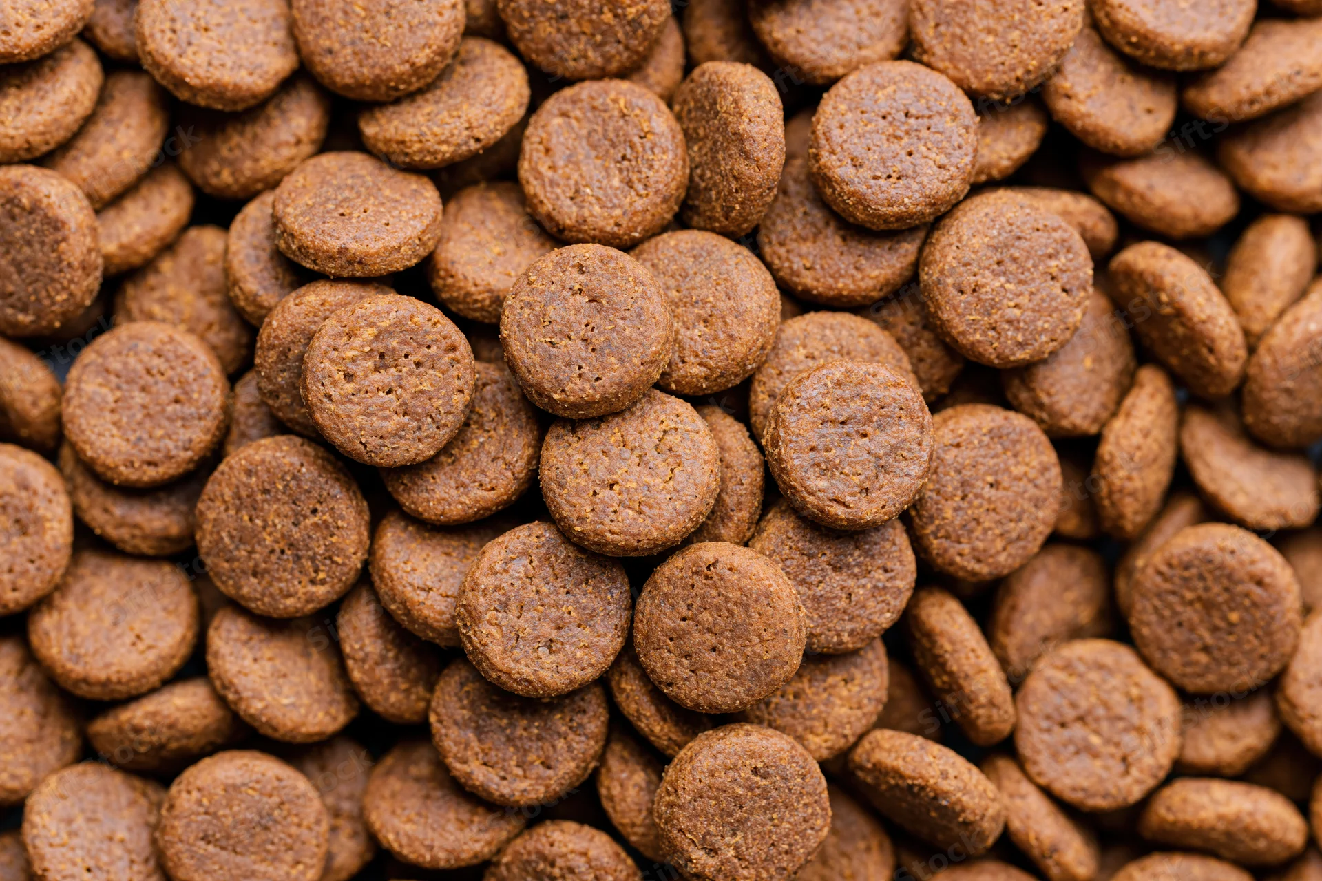 Closeup of small round dry pet food kibble pieces piled together