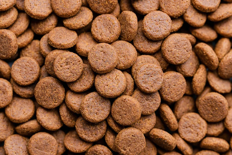 Closeup of small round dry pet food kibble pieces piled together