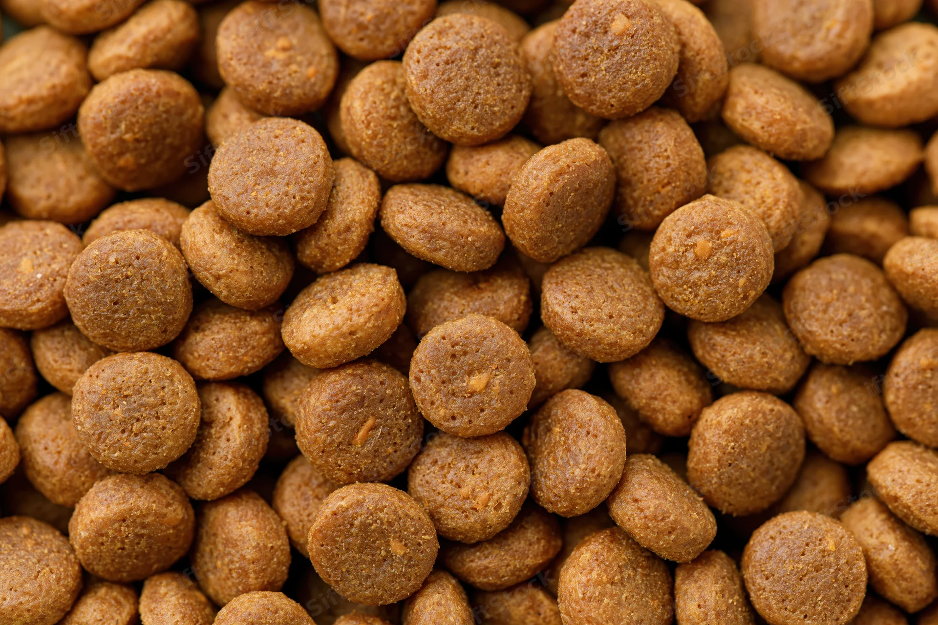 Closeup of small round dry pet food kibble pieces filling the frame