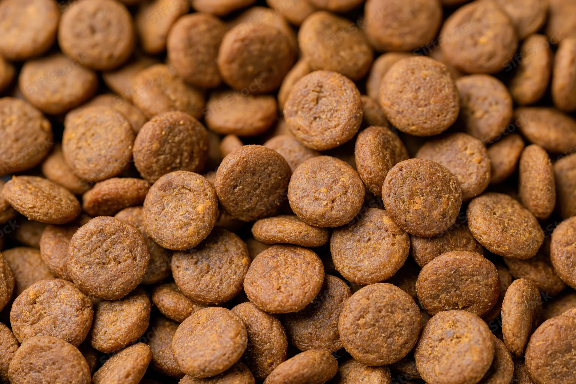 Closeup of small round dry pet food kibble pieces piled together