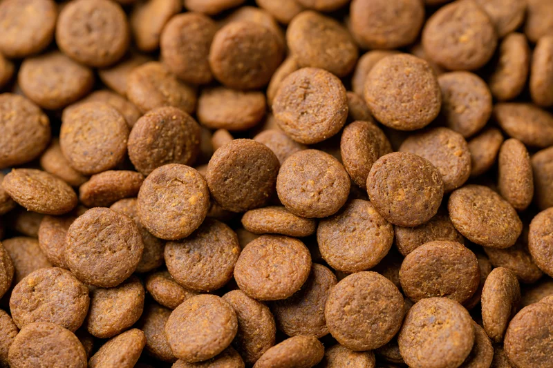 Closeup of small round dry pet food kibble pieces piled together