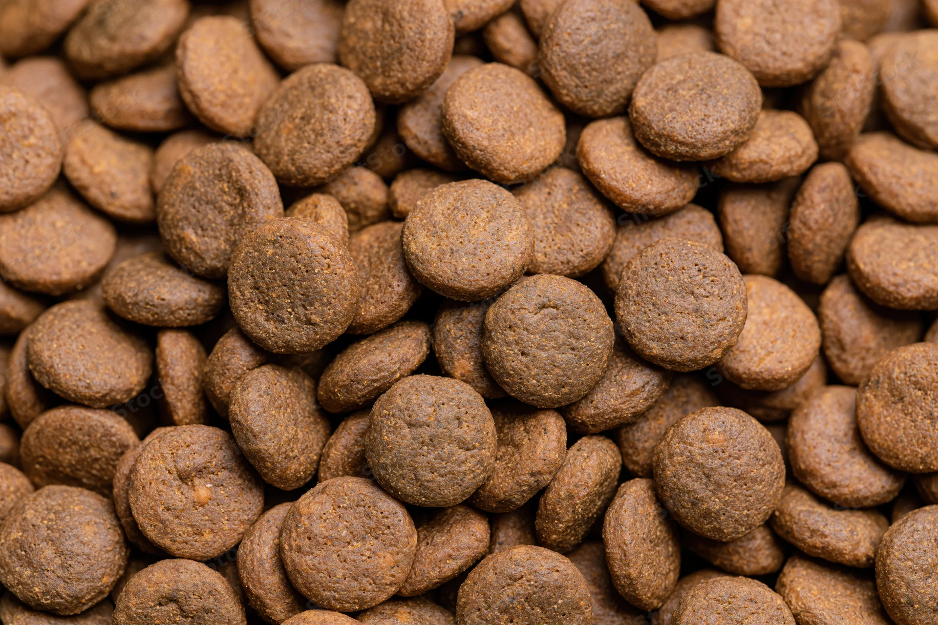 Closeup of small round dry pet food kibble pieces filling the frame