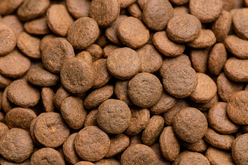 Closeup of small round dry pet food kibble pieces filling the frame