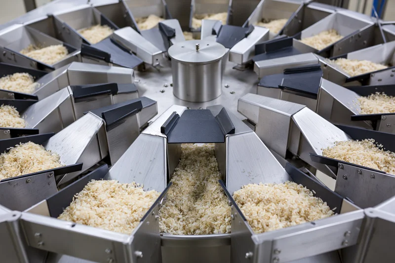 Industrial multihead weigher machine dispensing dry rice grain into metal chutes in a food processing facility