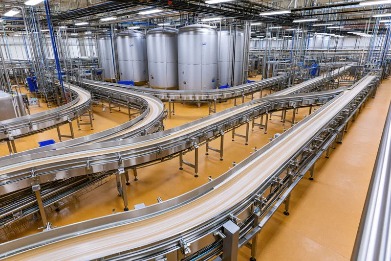 Stainless steel conveyor belts winding through a large food processing plant interior