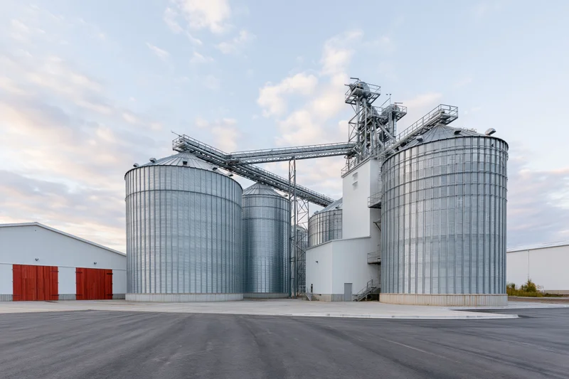 Large grain elevator complex with multiple tall corrugated metal silos and conveyor system under daytime sky