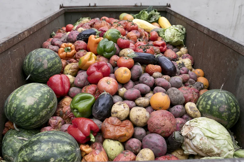 Overflowing industrial dumpster filled with discarded overripe vegetables and fruits