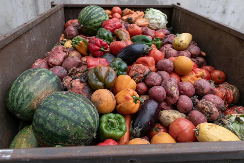 Overflowing industrial dumpster filled with discarded mixed fruits and vegetables showing signs of rot and spoilage