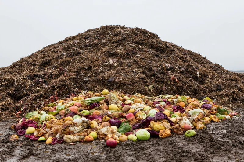 Large outdoor compost heap with decomposing food waste at base, surrounded by muddy ground under overcast sky