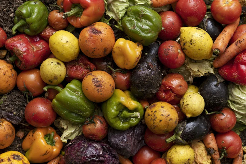 Pile of discarded mixed fruits and vegetables heaped together on soil