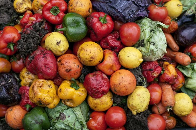 Rotting fruits and vegetables piled together in a heap of organic waste