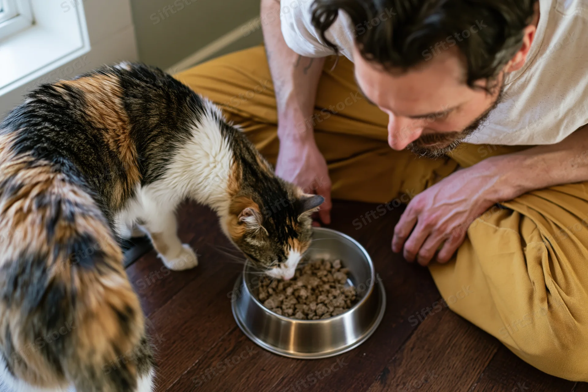 Man sitting cross-legged on hardwood floor feeding calico cat from stainless bowl