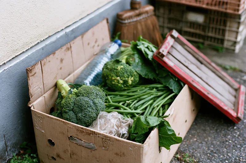Open cardboard box filled with broccoli and green beans resting against a wall outdoors