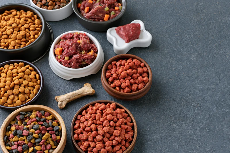 Assorted dry and wet dog foods in bowls arranged on gray surface with bone chew toy
