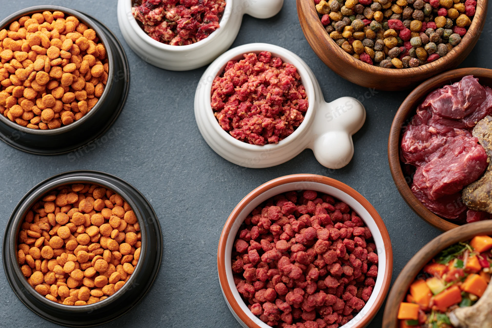 Overhead flat lay of assorted dry and wet dog foods in ceramic and wooden bowls on gray surface