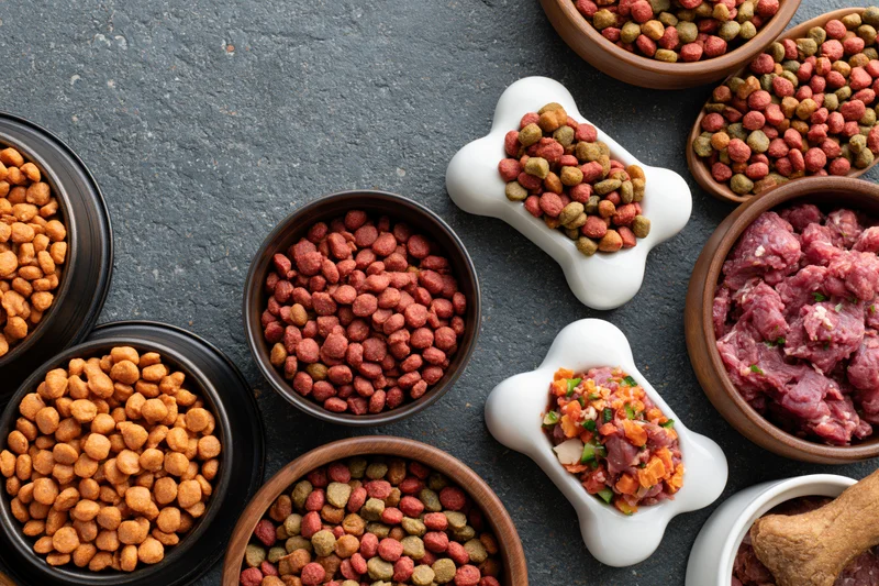 Overhead flat lay of assorted dry and wet dog foods in bowls and bone-shaped dishes on dark surface